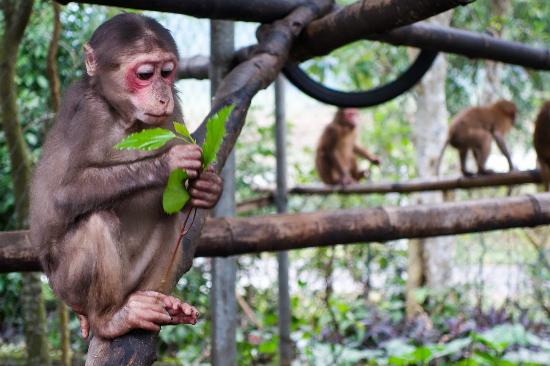 Phong Nha Eco Conservation Tour